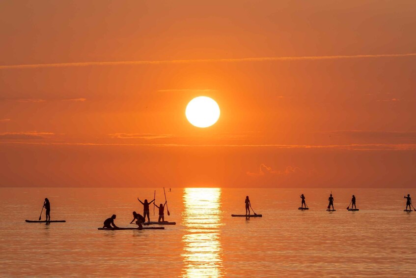 Picture 19 for Activity Barcelona: Sunrise Paddleboarding with Instructor and Photos 4