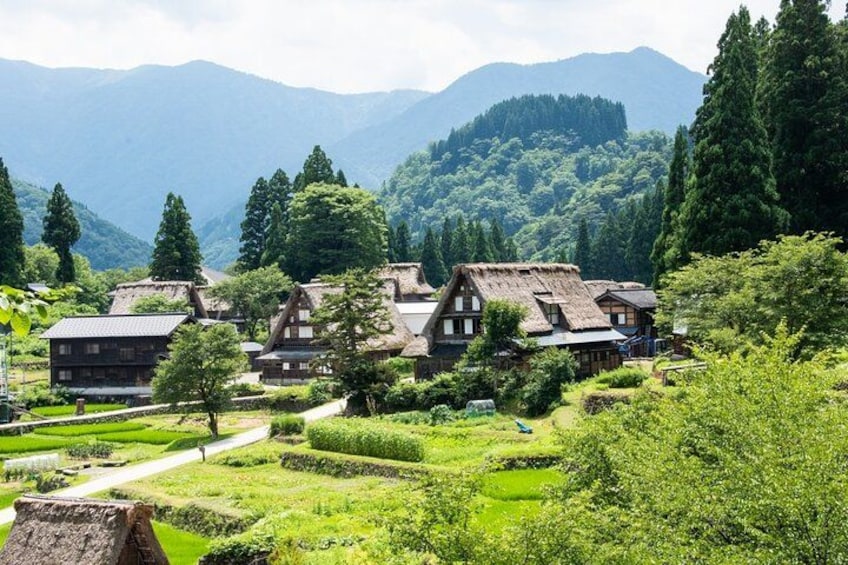 Traditional houses with thatched roofs, lush greenery, and mountains in the background. 1