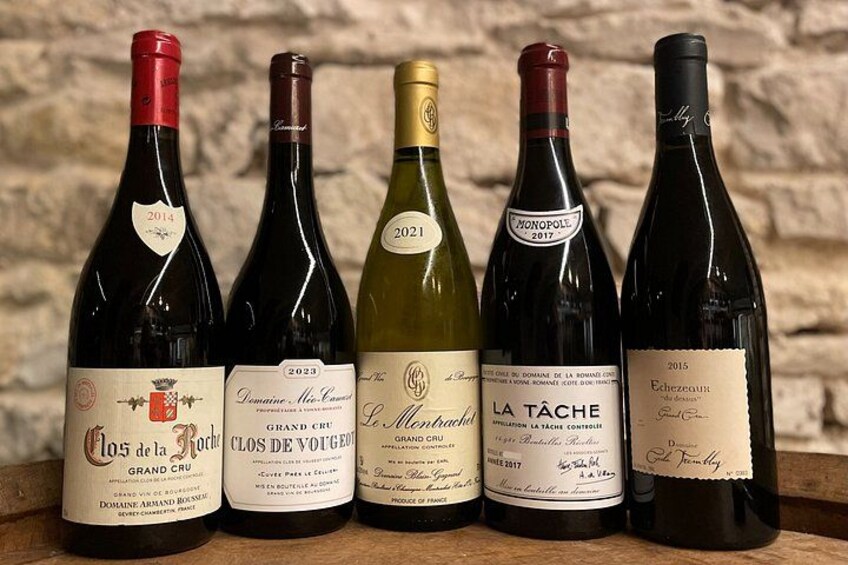 Five wine bottles with labels, set against a stone wall background. 2
