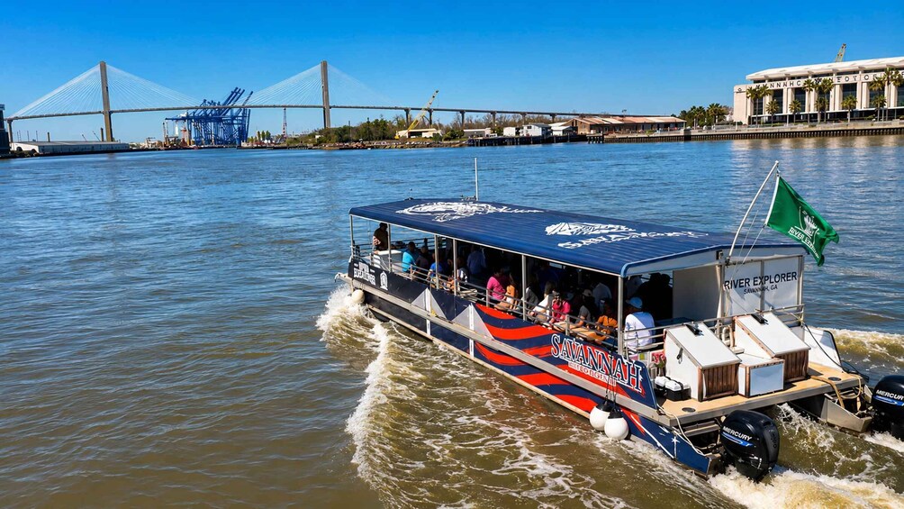 Picture 4 for Activity Savannah: Dolphin Spotting and Wildlife Eco Cruise 2