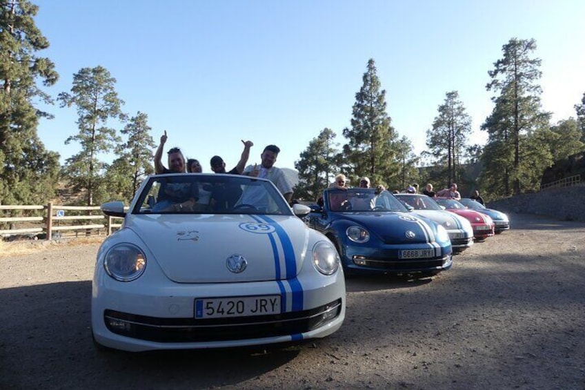 A white Volkswagen convertible with blue racing stripes and a blue license plate, parked on a dirt road with trees in the background. 1