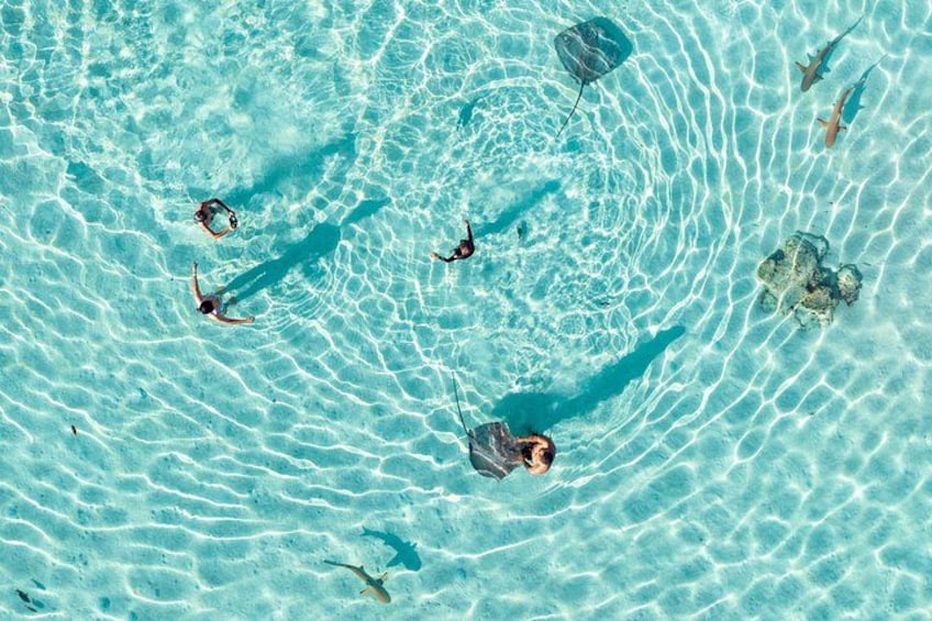 3-Hour Snorkeling Tour 4