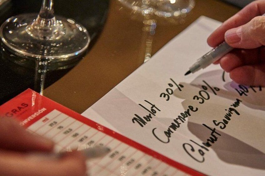 Make Your Own Wine & Guided Vineyard Tour 5