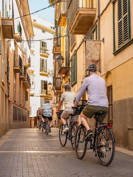 Picture 10 for Activity Palma de Mallorca: Guided Bicycle Tour 4