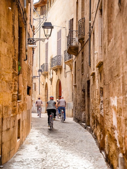 Picture 8 for Activity Palma de Mallorca: Guided Bicycle Tour 2
