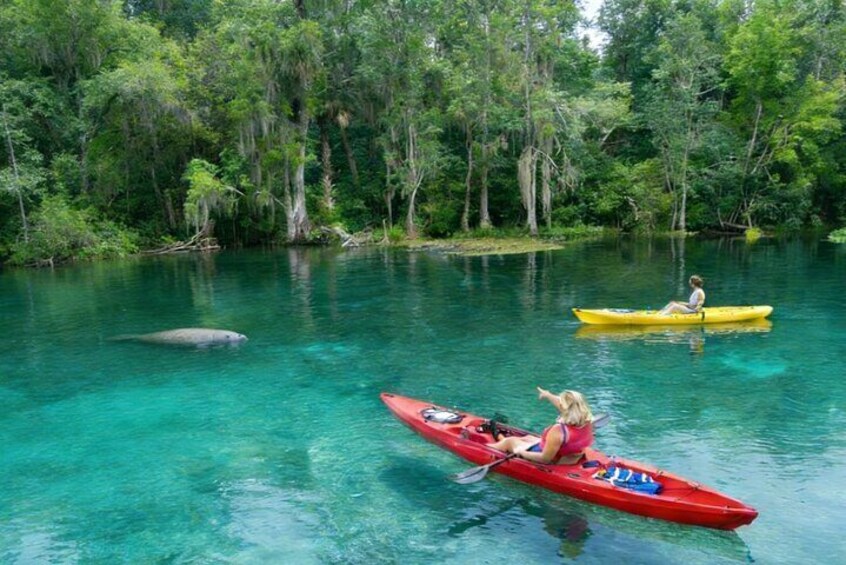 Two people kayaking on a clear river surrounded by dense forest. 2