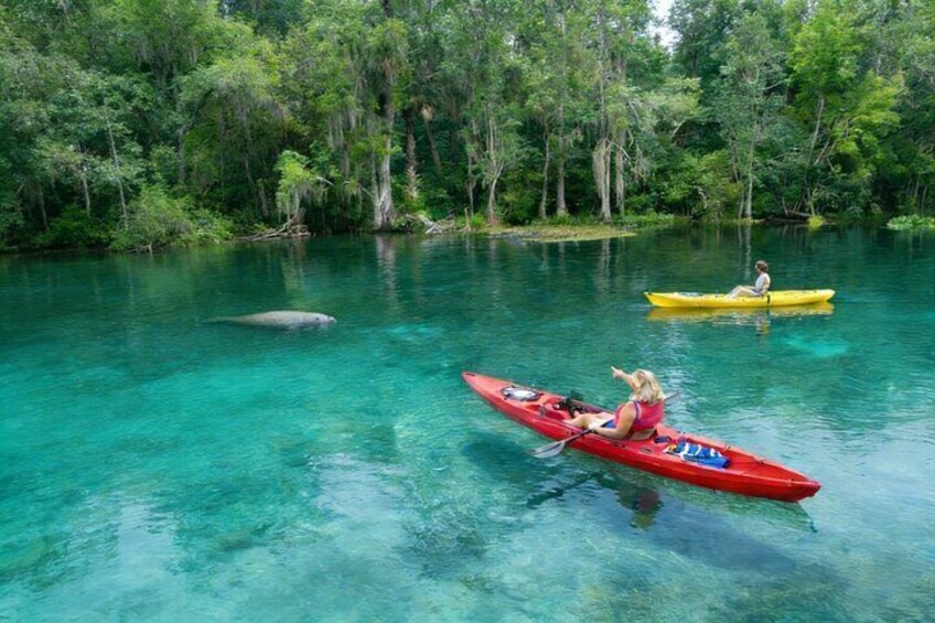 Two people kayaking on a clear river surrounded by dense forest. 1