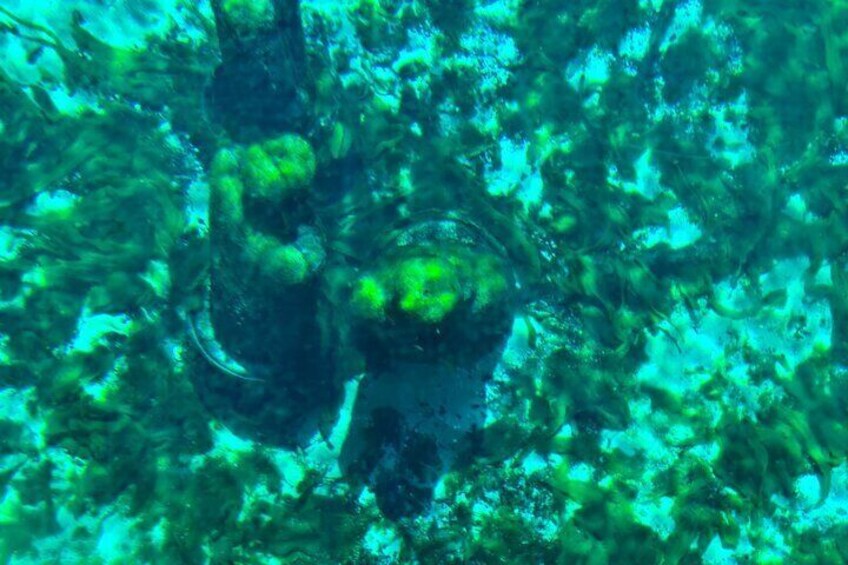 An underwater scene with coral formations and marine life. 3
