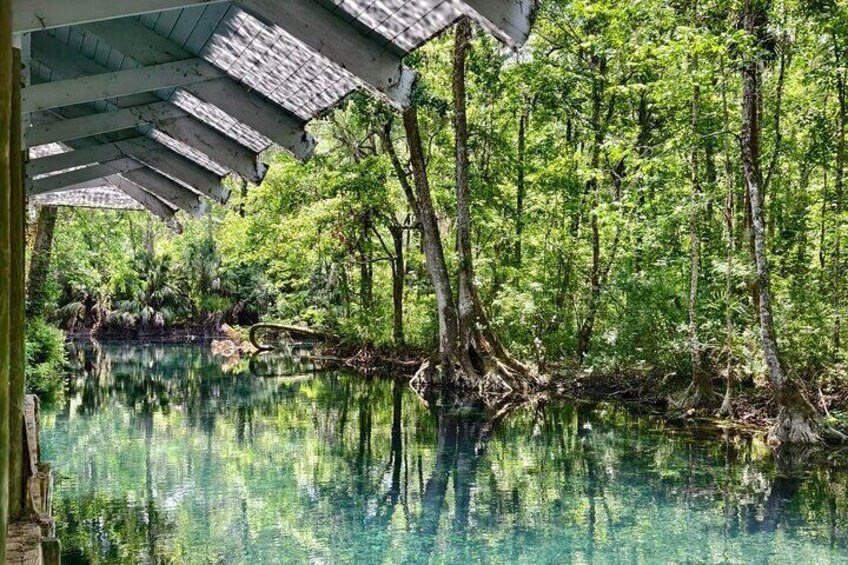 A serene water body surrounded by lush greenery and a wooden structure. 4