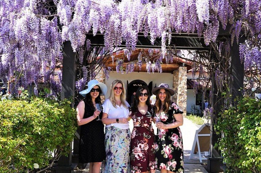 Sunday Special Wine Tour Temecula (Includes Lunch) 3
