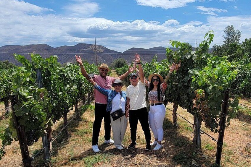 Sunday Special Wine Tour Temecula (Includes Lunch) 2