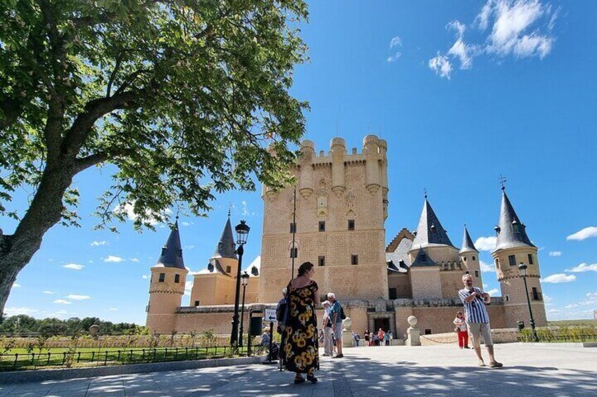 A historic castle with multiple towers and a large tree in the foreground. 2