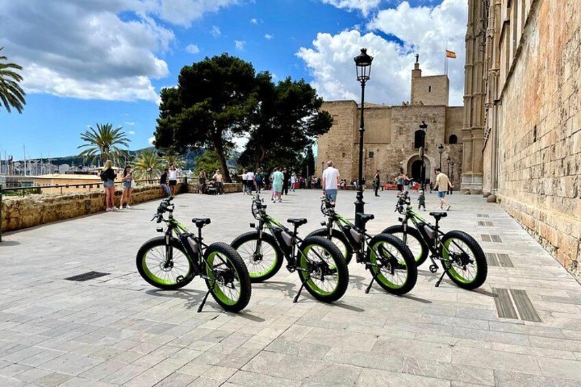 Exclusive Fat Tire E-Bike Tour in Palma 3