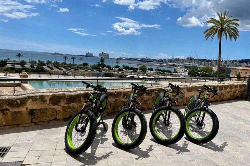 Exclusive Fat Tire E-Bike Tour in Palma 1