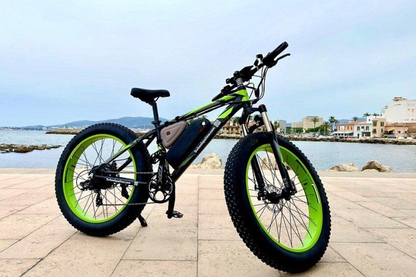 Exclusive Fat Tire E-Bike Tour in Palma 2