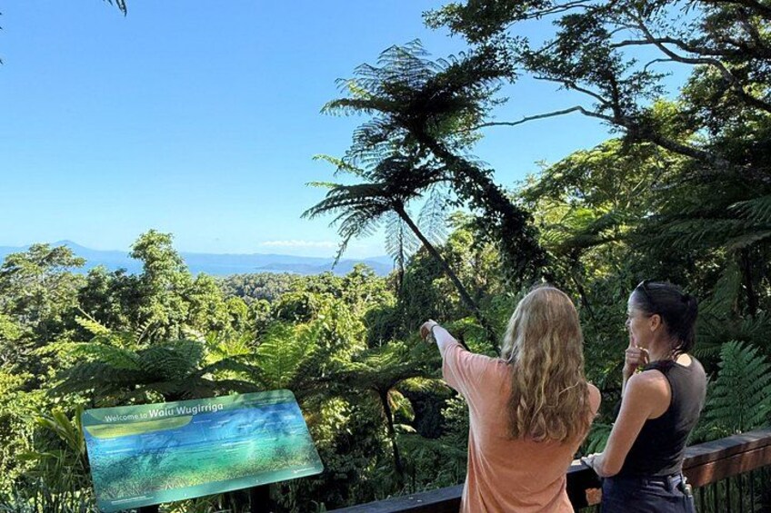 Daintree Rainforest, Mossman Gorge Small-Group from Port Douglas 4