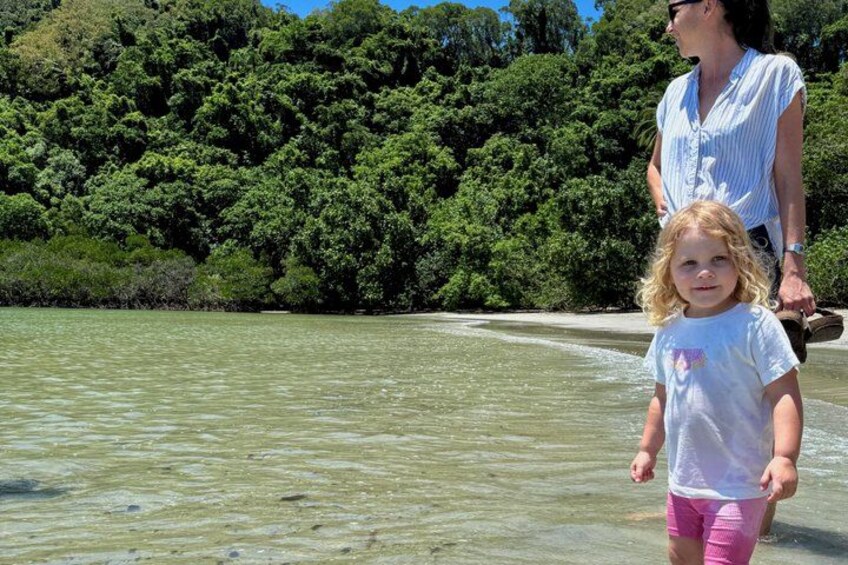 Daintree Rainforest, Mossman Gorge Small-Group from Port Douglas 4