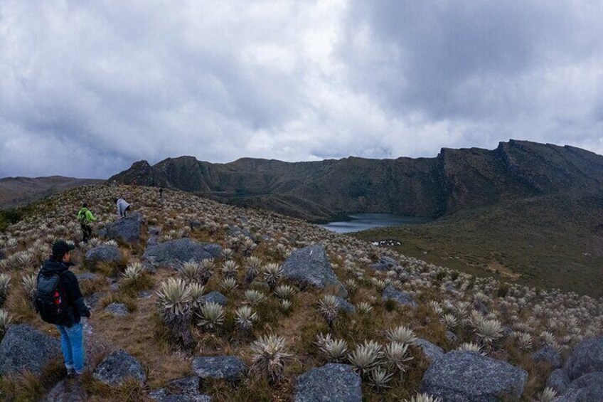 Hiking Chingaza Páramo, Siecha Lagoons