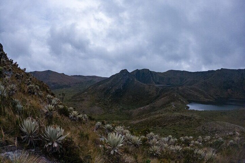 Hiking Chingaza Páramo, Siecha Lagoons