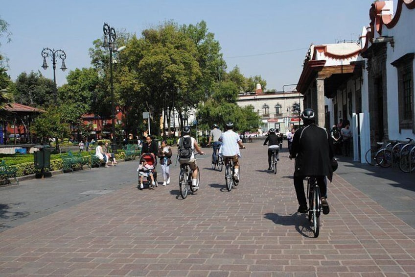 Frida Kahlo VIP [Museum Tickets Included] Bike, Markets & Churros 3