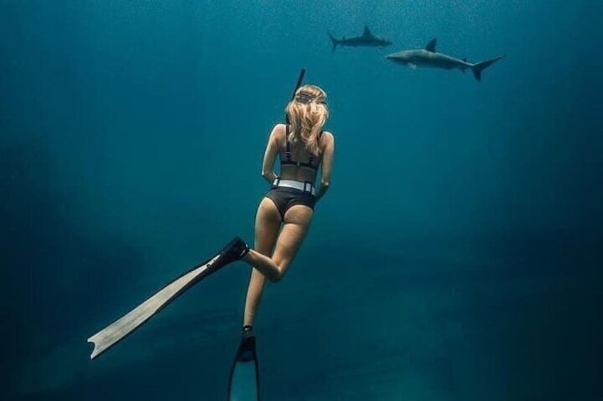 Una persona bucea con aletas y máscara, rodeada de tiburones en el océano. 1