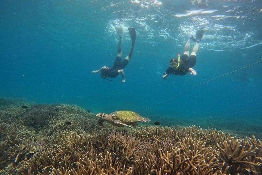 Twee duikers zwemmen onder water in de buurt van een koraalrif, samen met een zeeschildpad. 2