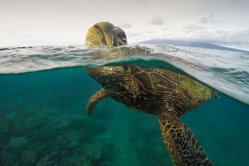 Half-Day Guided Island Hopping Tour with Snorkeling