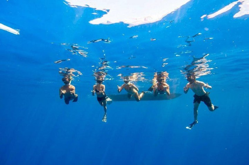 Find us where the wonder of the ocean meets the warmth of Aloha. 3