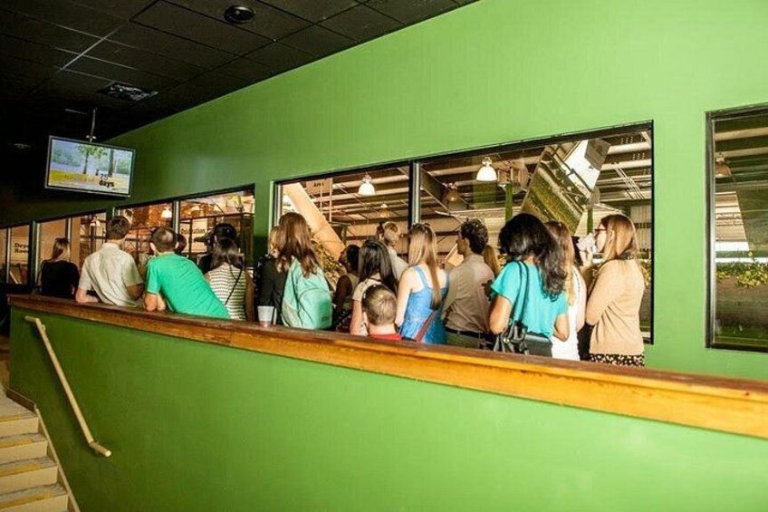 A queue of people at a counter in a green-walled establishment. 2