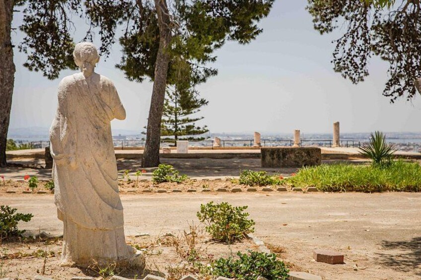 Private Walking Tour of Carthage Archaeological Site in Tunisia 1