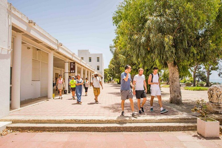 Private Walking Tour of Carthage Archaeological Site in Tunisia 2