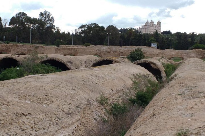 Group Guided Bike Tour of Carthage Archeological Site in Tunisia 2