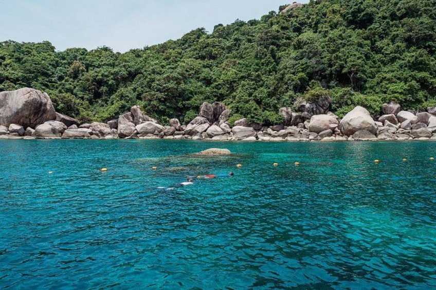 Une eau turquoise et limpide, un nageur et une côte rocheuse bordée d’une végétation luxuriante. 5