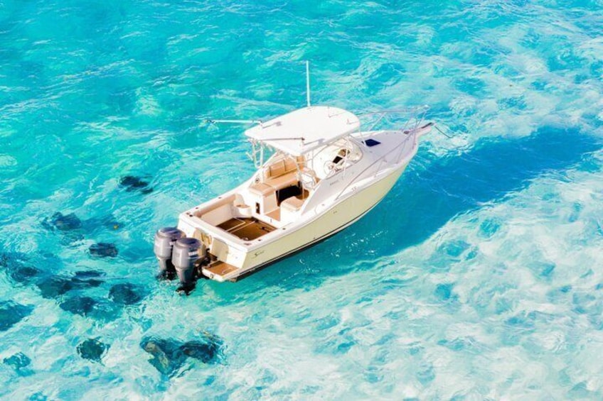 Private: Bioluminescence Tour 3