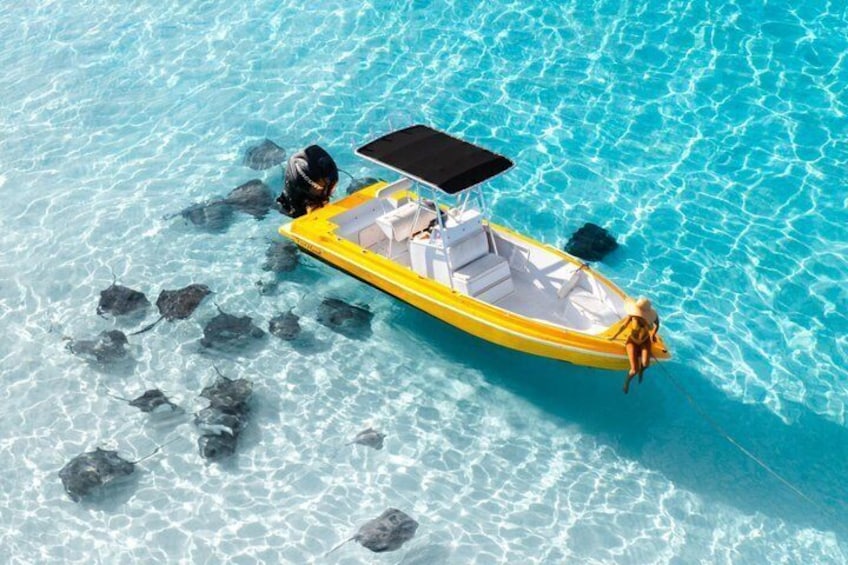 Private: Bioluminescence Tour 4
