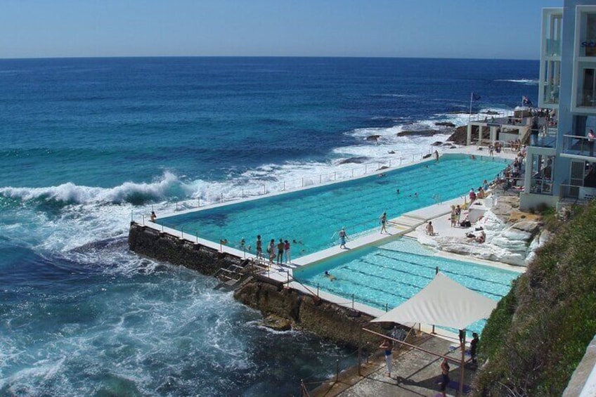 Sydney Combo: Morning Sightseeing to Bondi & Harbour Lunch Cruise 1