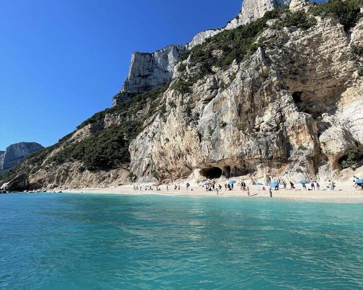 Picture 5 for Activity Santa Maria Navarrese: Grotta del Fico and Beaches Boat Trip 2