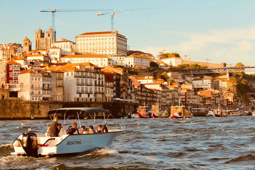 Picture 16 for Activity Porto: Douro River Boat Cruise with Port Wine Tasting 3