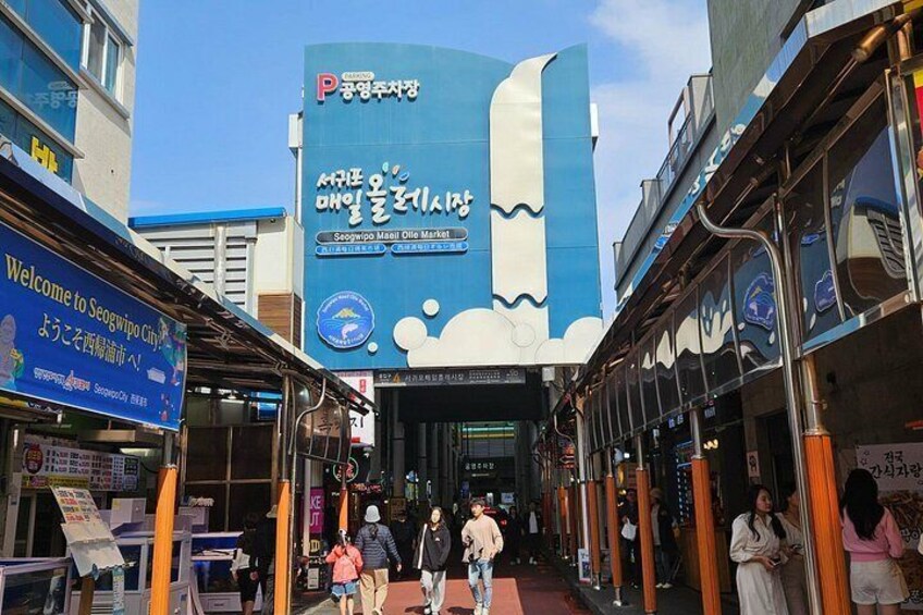 Private Tour South and West Jeju Island with Experienced Driver 3