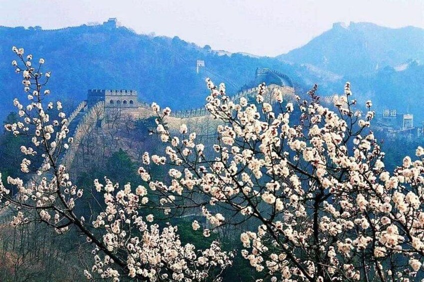 The Great Wall in spring 4