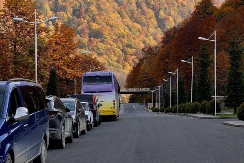 Un parking avec des voitures et un autobus, entouré d’arbres aux couleurs automnales et avec une montagne en arrière-plan. 3
