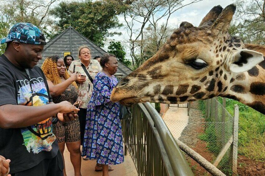 Half-Day Tour to Giraffe Center|Beads Factory|Karen Blixen Museum