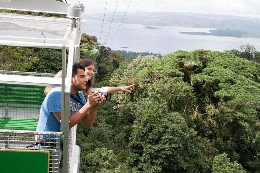 A person pointing at a lush green forest from a high vantage point. 2