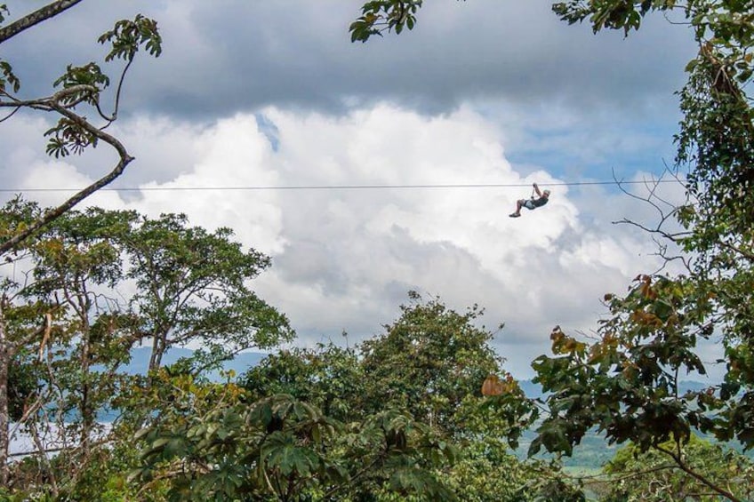 A person bungee jumping from a bridge surrounded by trees. 4