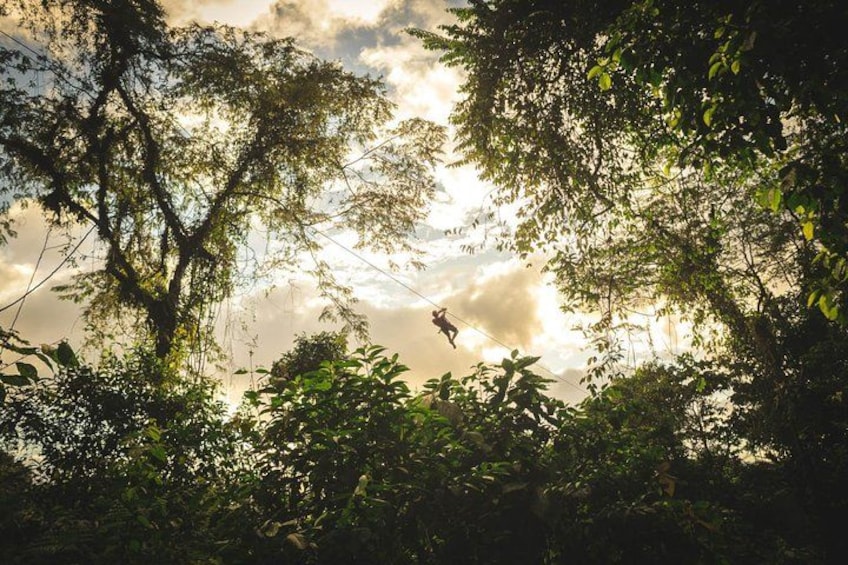 A person jumping between trees in a forest. 3