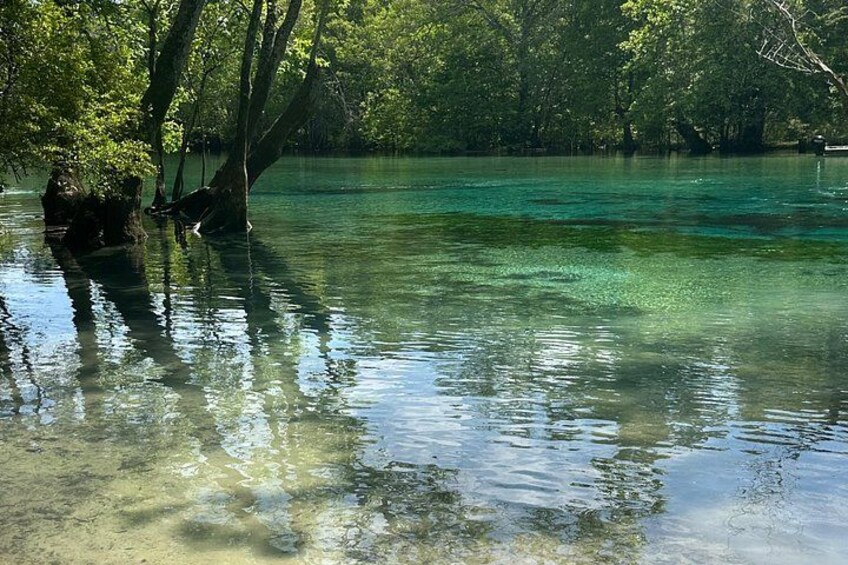 A calm river surrounded by trees. 3