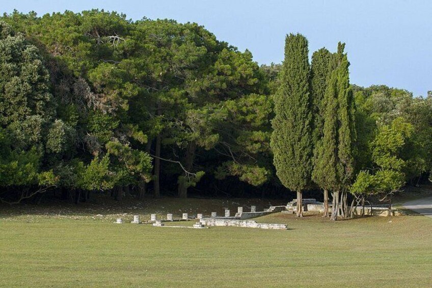 A cemetery with headstones, a grassy field, and tall trees in the background. 3