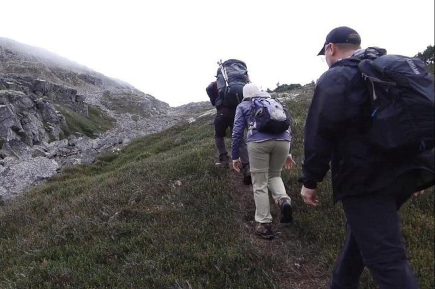 A group of hikers on a rocky trail with grassy areas. 3
