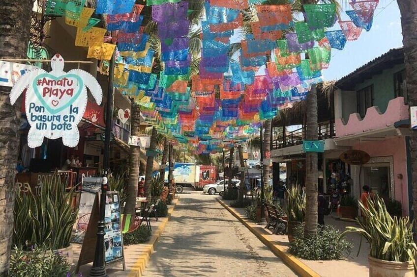 Private Sayulita and San Pancho Beach Towns Tour