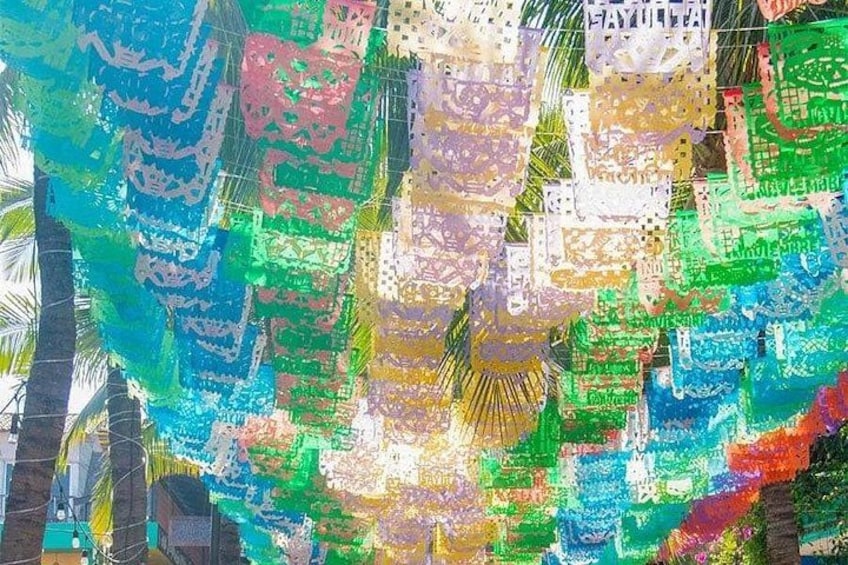 Private Sayulita and San Pancho Beach Towns Tour 5